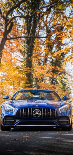A blue Mercedes Benz AMG GT parked on a road surrounded by autumn trees, HD Mobile Wallpaper