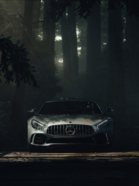 A Mercedes Benz Amg Gt is parked on a wooden path surrounded by tall trees in a dark forest, HD Phone Wallpaper
