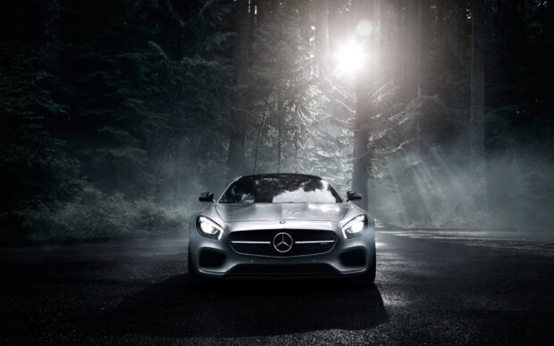 A Mercedes Benz Amg Gt car is parked on a dark wet road surrounded by fog and tall trees, HD Desktop Wallpaper