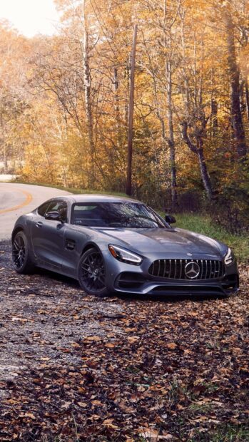 A sleek Mercedes Benz Amg GT is parked on a leaf covered road surrounded by autumn trees, HD iPhone Wallpaper