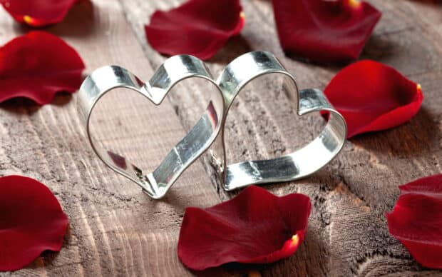 Two metal heart shapes lie on wooden surface surrounded by red rose petals, HD Desktop Wallpaper