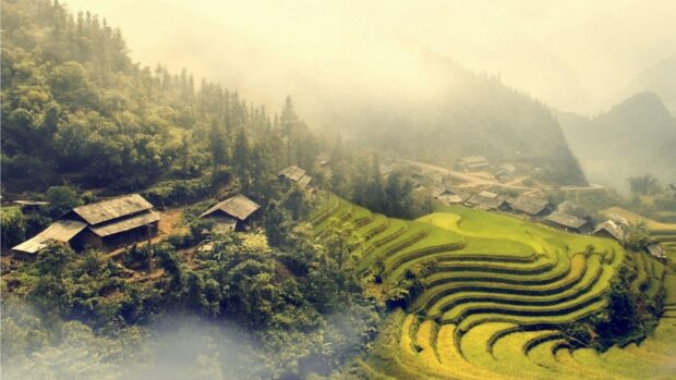 Misty terraced fields and rustic houses create a peaceful scene in Vietnam Wallpapers, 2K Desktop Wallpaper