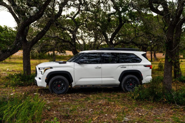 A white Toyota Sequoia is parked in a forest area with trees and grass around, 2K Desktop Wallpaper