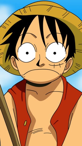 Monkey D Luffy is looking surprised with his straw hat, HD Mobile Wallpaper