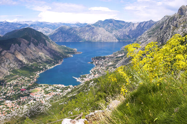 The Montenegro landscape shows a calm bay surrounded by mountains and yellow flowers, 2K Desktop Wallpaper