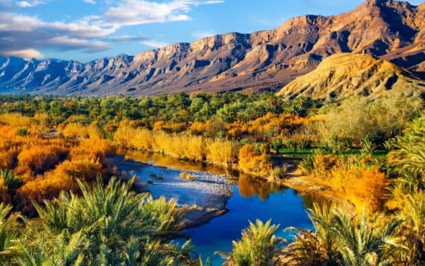 A peaceful river flows through colorful trees under the majestic Moroccan mountains, HD Desktop Wallpaper