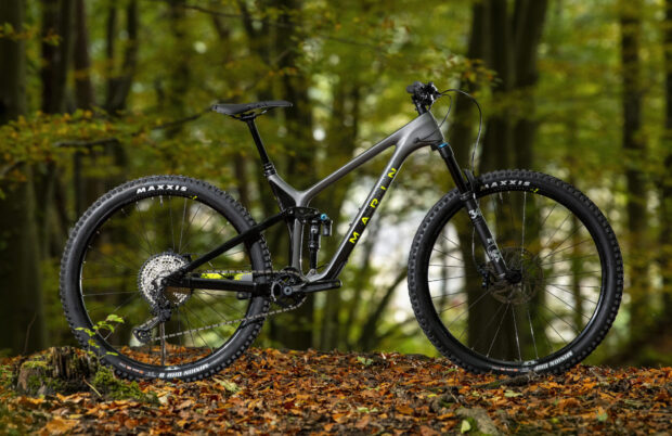 A Marin bike stands on autumn leaves in the forest, HD Desktop Wallpaper