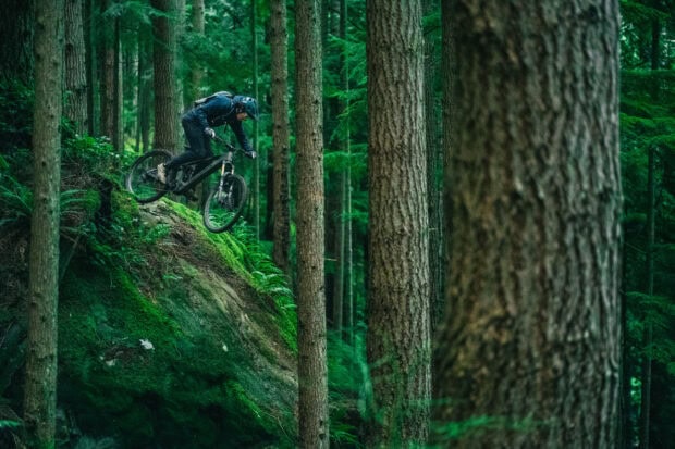 A mountain biker is riding a Transition bike down a steep hill surrounded by tall trees, 2K Desktop Wallpaper
