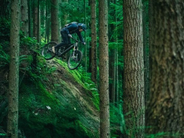 A biker rides a Transition bike down a steep mossy hill surrounded by tall trees, HD Desktop Wallpaper