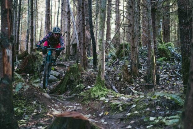 A cyclist rides a Transition bike through a dense forest path, 2K Desktop Wallpaper