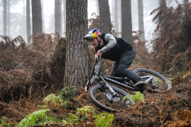 A rider on Marin Bikes skillfully rides through a forest trail, HD Desktop Wallpaper