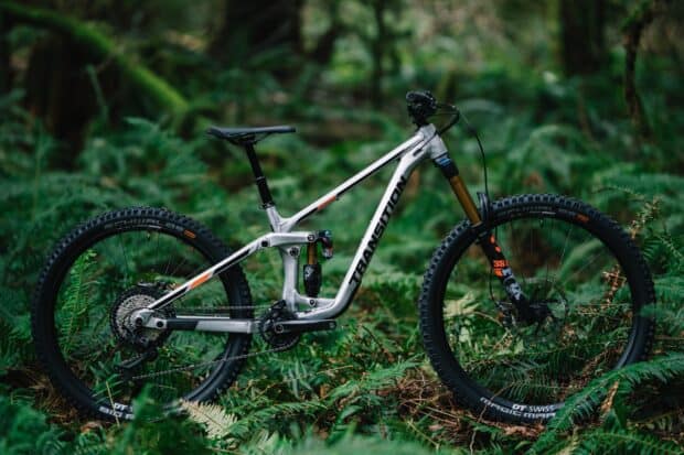 A silver transition bike stands on a lush green forest floor with ferns, 2K Desktop Wallpaper