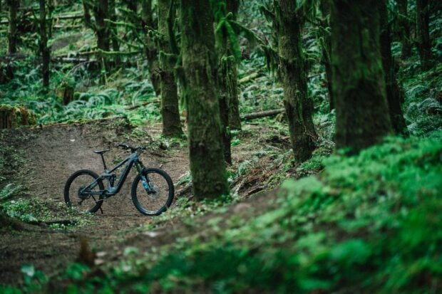 A transition bike is positioned on a forest trail surrounded by green trees and vegetation, 2K Desktop Wallpaper