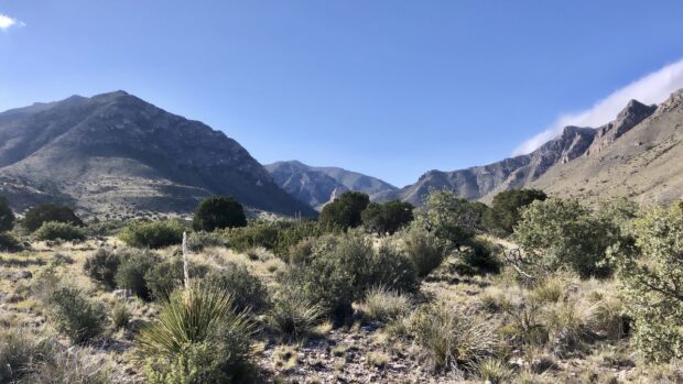 The landscape at Carlsbad Caverns National Park shows rugged mountains and desert vegetation, 4K Desktop Wallpaper