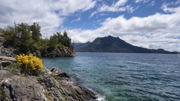 A clear view of Nahuel Huapi with rocky shore and yellow flowers, HD Desktop Wallpaper