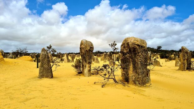 Unique stone formations rise from the yellow sand in Nambung National Park, 2K Desktop Wallpaper