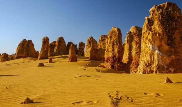 The Nambung National Park shows unique stone formations rising from golden sand, Nambung National Park PC Wallpaper