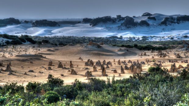 The desert landscape at Nambung National Park reveals remarkable rock formations and native vegetation, HD Desktop Wallpaper