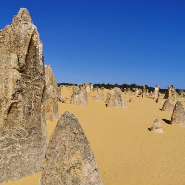 The natural limestone rock formations create a unique landscape in Nambung National Park, HD Desktop Wallpaper