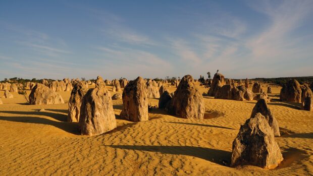 The Nambung National Park displays unique limestone pillars rising from golden sand, HD Desktop Wallpaper
