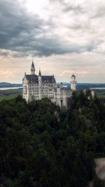 Neuschwanstein Castle stands majestically atop a forested hill under cloudy skies, HD Phone Wallpaper