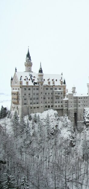 Neuschwanstein Castle stands surrounded by snow covered trees in a winter landscape, 2K Mobile Wallpaper