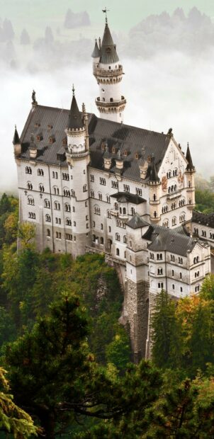 A stunning view of Neuschwanstein Castle surrounded by dense trees and fog, 2K Mobile Wallpaper
