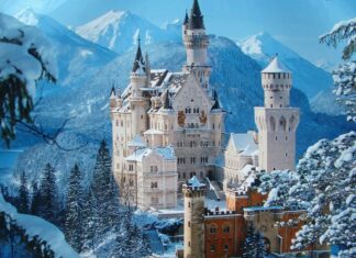 The Neuschwanstein Castle stands surrounded by snowy trees and mountains, HD Desktop Wallpaper