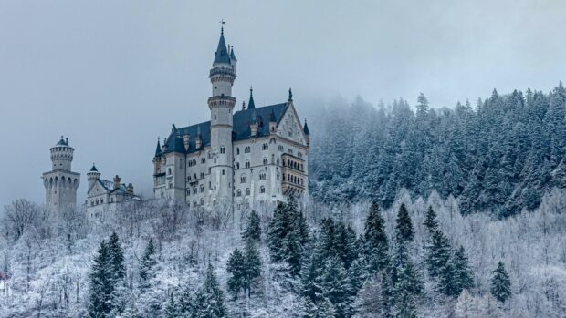 Neuschwanstein Castle stands surrounded by snow covered trees and foggy sky, HD Desktop Wallpaper