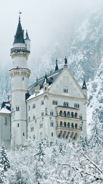 The Neuschwanstein Castle stands surrounded by snow covered trees and misty mountains, HD Phone Wallpaper