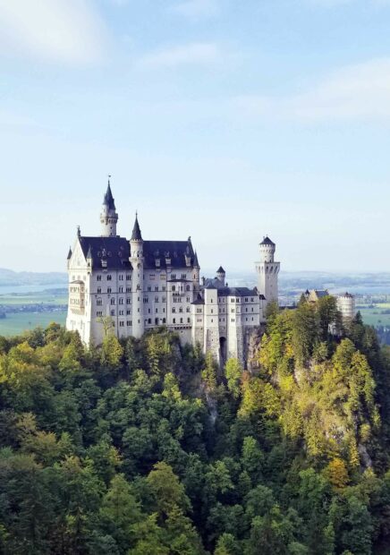 Neuschwanstein Castle stands surrounded by lush green forest under a clear sky, HD Mobile Wallpaper