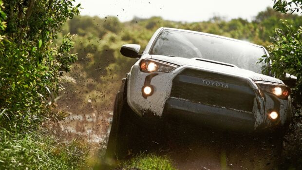 A Toyota vehicle is driving off road through mud and vegetation in a forest, HD Desktop Wallpaper