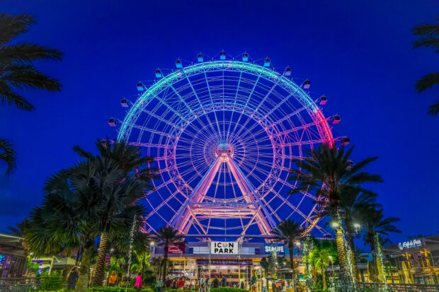 Orlando Wallpapers captures the illuminated Ferris wheel at Icon Park with palms and visitors at night, 2K Desktop Wallpaper