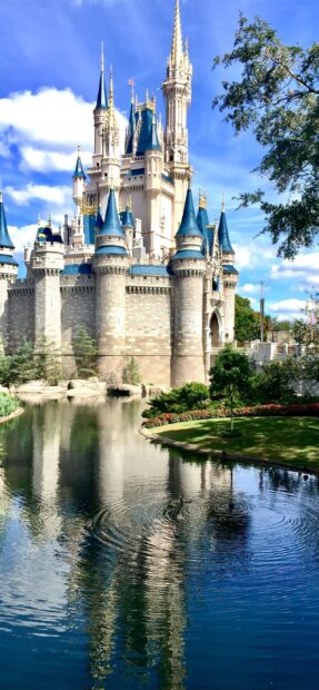 The Orlando castle reflects beautifully over the calm water with blue sky above, 2K Mobile Wallpaper