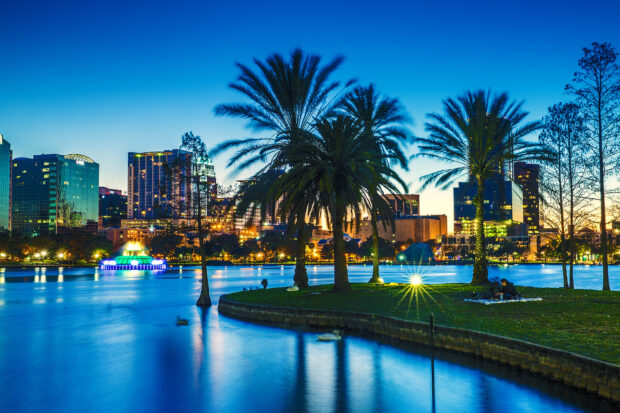 The blue sky and city lights reflect over the lake in Orlando with palm trees, HD Desktop Wallpaper