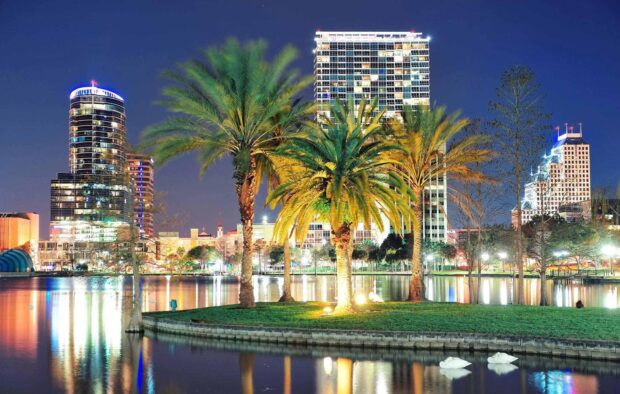 Orlando Wallpapers showcase a vibrant city view with palm trees and water reflections, HD Desktop Wallpaper