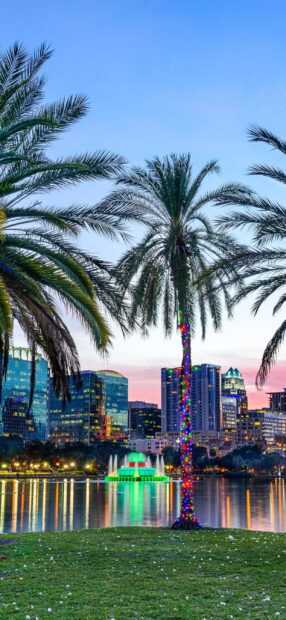 Orlando Wallpapers show a vibrant cityscape with palm trees and colorful lights at sunset, 2K Mobile Wallpaper