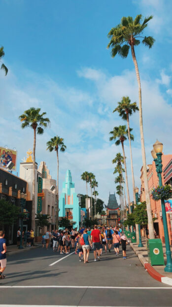 A busy street in Orlando filled with people and tall palm trees under a blue sky, HD Mobile Wallpaper
