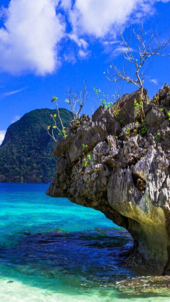 A rocky cliff with sparse trees overlooks the clear turquoise sea in Palawan Wallpapers, HD Mobile Wallpaper