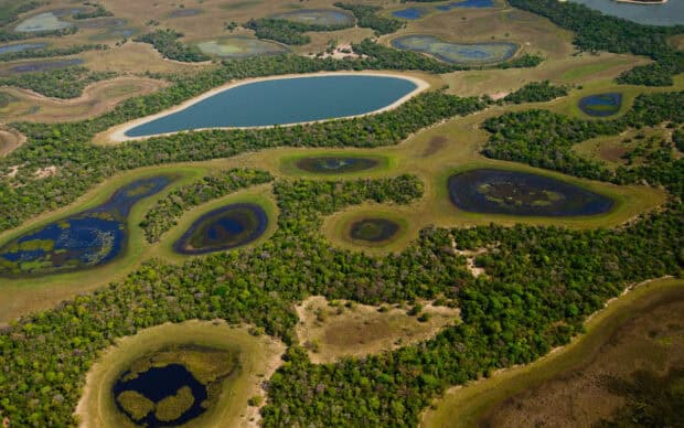 An aerial view shows the lush Pantanal Matogrossense with water bodies and greenery, HD Desktop Wallpaper