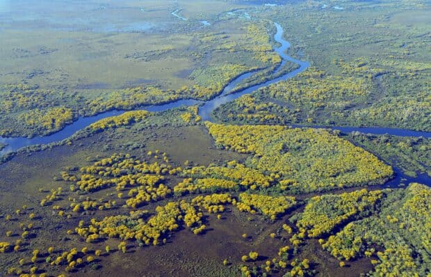 Aerial view of Pantanal Matogrossense with winding rivers and yellow flowering plants, HD Desktop Wallpaper
