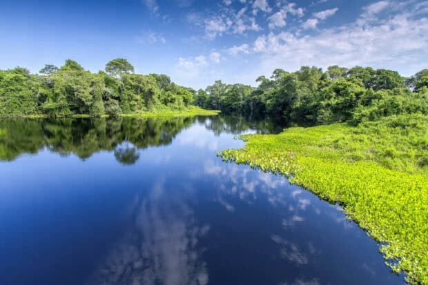 A clear river reflects the lush trees and bright sky in the Pantanal Matogrossense wetlands, 2K Desktop Wallpaper