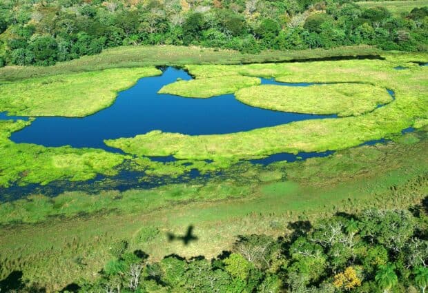 Aerial view of a river surrounded by lush greenery in Pantanal Matogrossense landscape, 2K Desktop Wallpaper