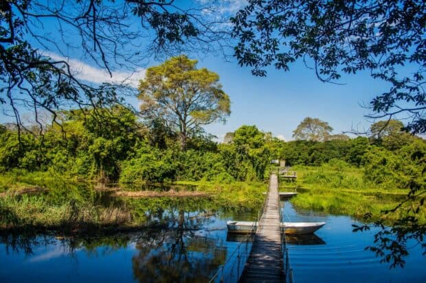 A wooden bridge crosses a calm river surrounded by lush trees in Pantanal Matogrossense, HD Desktop Wallpaper