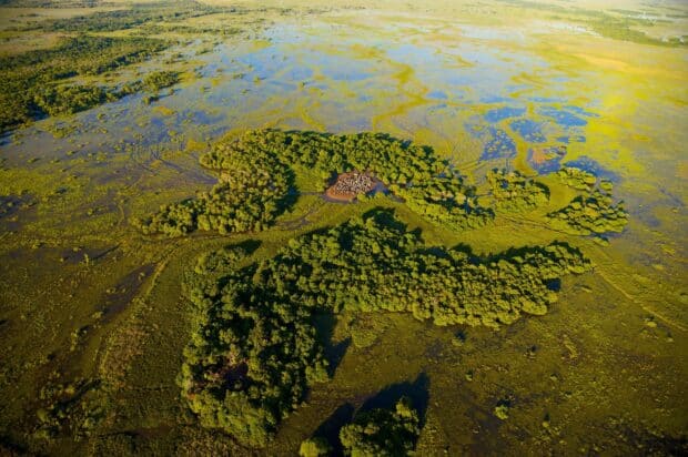 Aerial view of Pantanal Matogrossense showing lush wetlands and vegetation, 2K Desktop Wallpaper