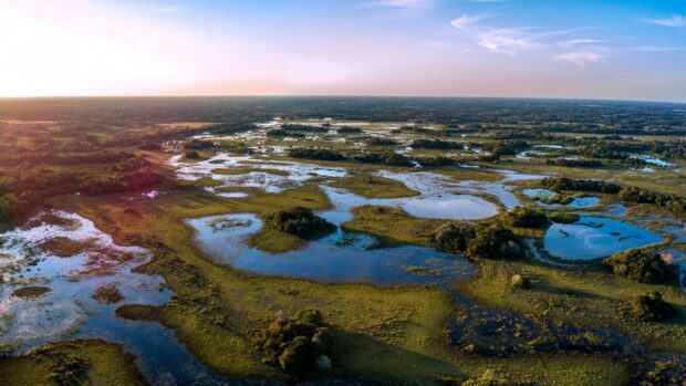 The Pantanal Matogrossense shows a vast wetland with scattered ponds and greenery, HD Desktop Wallpaper