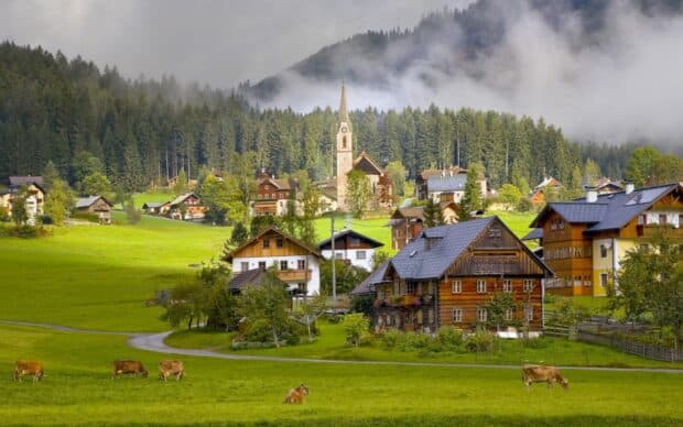 A peaceful village with traditional houses and grazing cows in front of a forest, HD Desktop Wallpaper