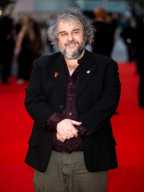 Peter Jackson stands in front of a red carpet wearing a black jacket, HD Desktop Wallpaper