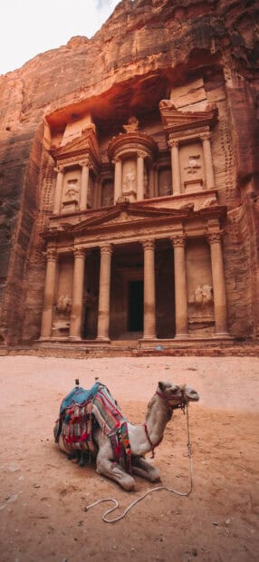 A camel rests in front of the ancient Petra Jordan structure carved in sandstone cliffs, HD Mobile Wallpaper