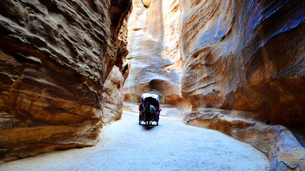 A horse cart traveling through the narrow rocky canyon in Petra Jordan, 4K Desktop Wallpaper